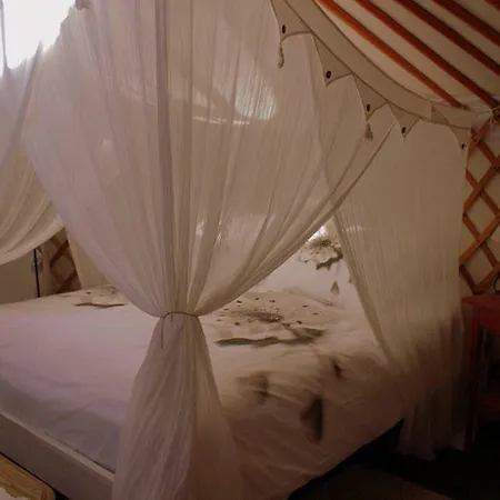 Casa Las Olivas Bed & Breakfast Alora